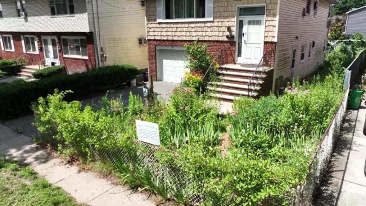 因花園太丑紐約華人收2000美元罰款