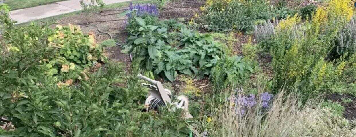 因花園太丑紐約華人收2000美元罰款