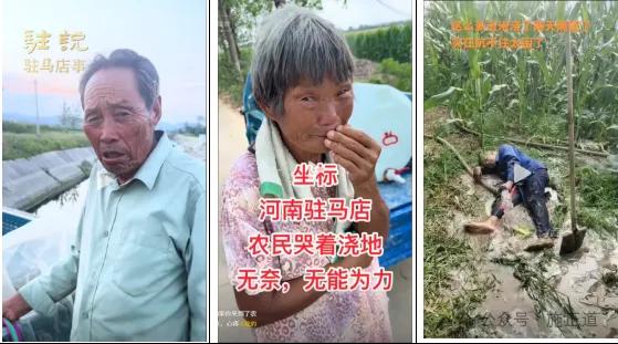 河南農(nóng)戶:40多年沒見過這么旱的天