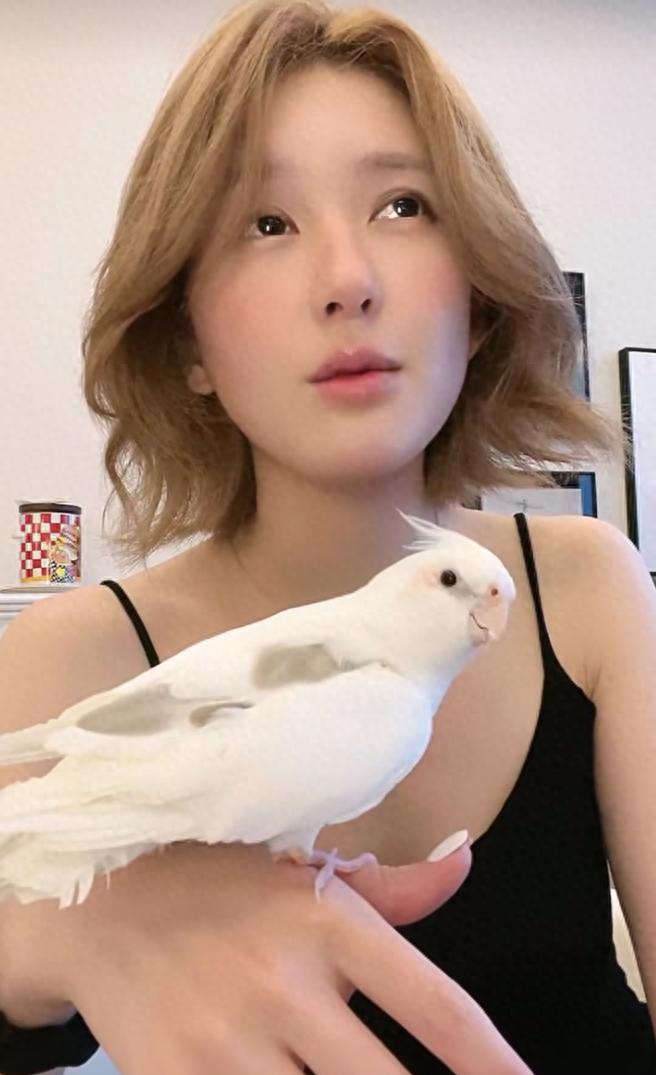 趙露思否認整容并反問:整容犯法嗎