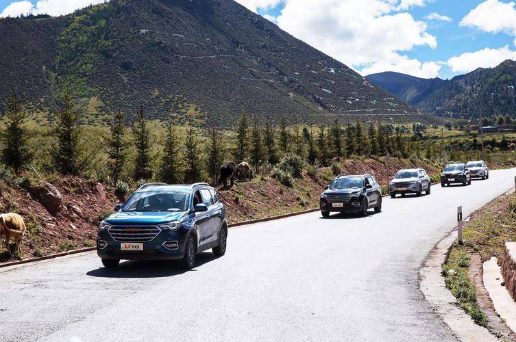 跑了20年高速才明白,SUV和轎車的差距,哪是空間就能輕易彌補(bǔ)的